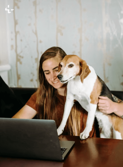 US pet brand grows sales 140% with Amplivus Amazon PPC strategy